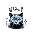 猫(ロシアンブルー)の表情が可愛いスタンプ（個別スタンプ：12）