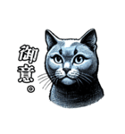 猫(ロシアンブルー)の表情が可愛いスタンプ（個別スタンプ：21）