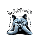 猫(ロシアンブルー)の表情が可愛いスタンプ（個別スタンプ：23）