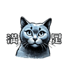 猫(ロシアンブルー)の表情が可愛いスタンプ（個別スタンプ：26）