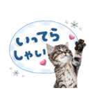 ねこちぃず♡梅雨〜初夏ver（個別スタンプ：18）