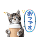 ねこちぃず♡梅雨〜初夏ver（個別スタンプ：26）