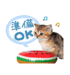 ねこちぃず♡梅雨〜初夏ver（個別スタンプ：32）