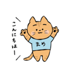 毎日使える！まめてんブラザーズスタンプ（個別スタンプ：1）