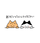 毎日使える！まめてんブラザーズスタンプ（個別スタンプ：23）