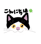 ニャンコにゃんこかわゆ（個別スタンプ：2）