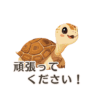 【日常会話・敬語】動物園（個別スタンプ：16）