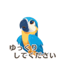 【日常会話・敬語】動物園（個別スタンプ：20）