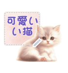 可愛いい猫のメッセージ vol.1（個別スタンプ：13）