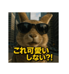 【北信弁】するしないラビットくん。（個別スタンプ：5）