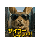 【北信弁】するしないラビットくん。（個別スタンプ：6）