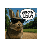 【北信弁】するしないラビットくん。（個別スタンプ：13）
