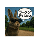 【北信弁】するしないラビットくん。（個別スタンプ：14）