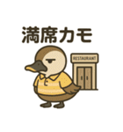いいコトあるカモ♡特別編（ツイてない日）（個別スタンプ：16）