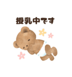 ベビーベアの子育てスタンプ（新生児編）（個別スタンプ：17）