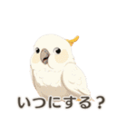 【日常会話】動物園（個別スタンプ：9）