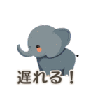 【日常会話】動物園（個別スタンプ：11）