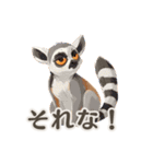 【日常会話】動物園（個別スタンプ：13）