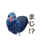 【日常会話】動物園（個別スタンプ：15）