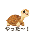 【日常会話】動物園（個別スタンプ：17）