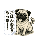 パグ犬の 《メッセージスタンプ》（個別スタンプ：1）