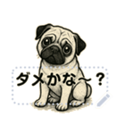 パグ犬の 《メッセージスタンプ》（個別スタンプ：9）