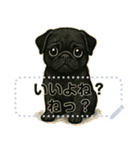 パグ犬の 《メッセージスタンプ》（個別スタンプ：10）