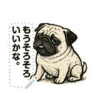 パグ犬の 《メッセージスタンプ》（個別スタンプ：16）