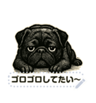パグ犬の 《メッセージスタンプ》（個別スタンプ：20）