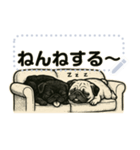 パグ犬の 《メッセージスタンプ》（個別スタンプ：24）