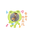 動くこてつスタンプ（個別スタンプ：4）