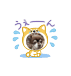 動くこてつスタンプ（個別スタンプ：8）
