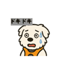 ペキチワぶんたの動くイラストスタンプ（個別スタンプ：11）
