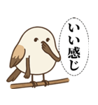 オテテエナガ【あいまい個体】（個別スタンプ：24）