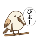 オテテエナガ【あいまい個体】（個別スタンプ：29）