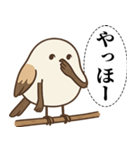 オテテエナガ【あいまい個体】（個別スタンプ：33）