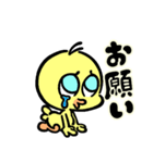 ピヨの1日（個別スタンプ：1）