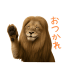 サラサラロングヘアーライオン1（個別スタンプ：11）