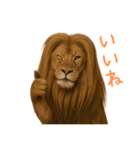 サラサラロングヘアーライオン1（個別スタンプ：20）