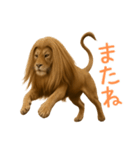 サラサラロングヘアーライオン1（個別スタンプ：24）
