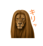 サラサラロングヘアーライオン1（個別スタンプ：26）