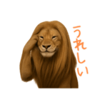 サラサラロングヘアーライオン1（個別スタンプ：32）