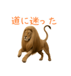 サラサラロングヘアーライオン1（個別スタンプ：38）