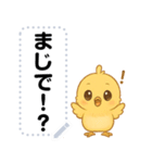 かわいいひよこ・文字フリー（個別スタンプ：1）