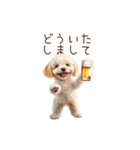 今日も一杯！トイプーのほろ酔いダンス（個別スタンプ：7）