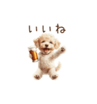 今日も一杯！トイプーのほろ酔いダンス（個別スタンプ：9）