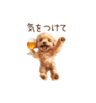 今日も一杯！トイプーのほろ酔いダンス（個別スタンプ：10）