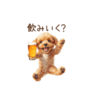 今日も一杯！トイプーのほろ酔いダンス（個別スタンプ：11）