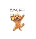 今日も一杯！トイプーのほろ酔いダンス（個別スタンプ：13）
