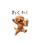 今日も一杯！トイプーのほろ酔いダンス（個別スタンプ：14）
